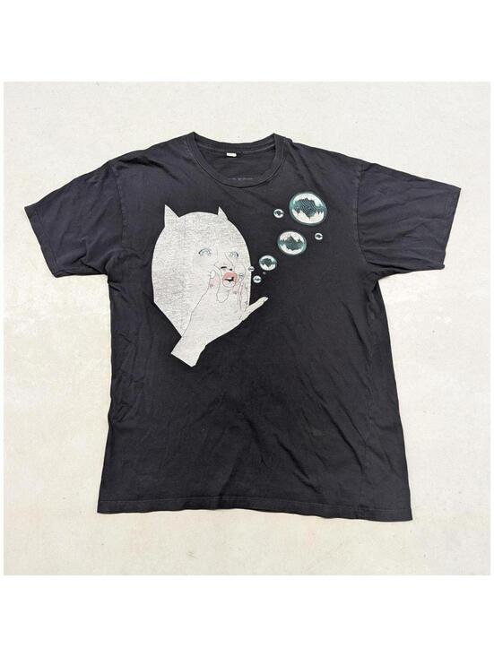 Other - 2010 The Flaming Lips Be A Nice Person tour t-shirt